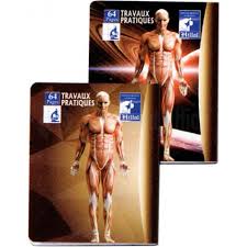 Cahier TP EL HILLAL A5 Pique PF 64 Pages 